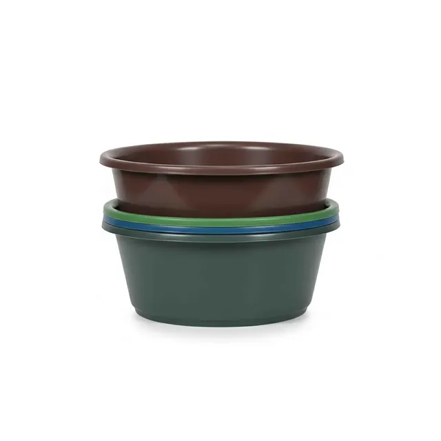 Bassine
